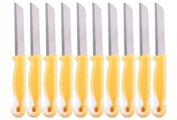 Original Solingen Meyve Bıçağı 10 Adet | Paslanmaz Çelik | solingen-0006